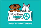 POSITIVE POOCH SOLUTIONS